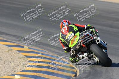 media/Nov-12-2023-SoCal Trackdays (Sun) [[5d1fba4e7d]]/Turn 10 Backside (115pm)/